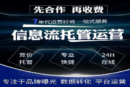 SEM服务公司经典案例集锦